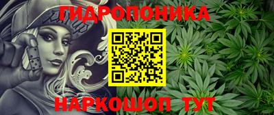 дмт Будённовск