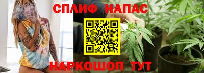 дмт Будённовск