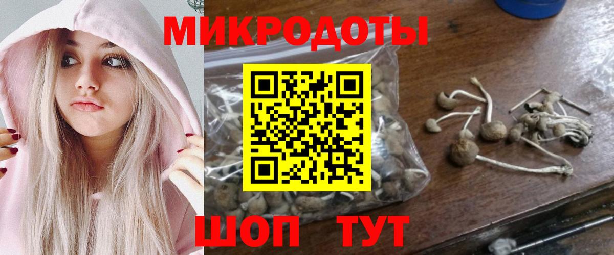 Псилоцибиновые грибы Magic Shrooms Узловая